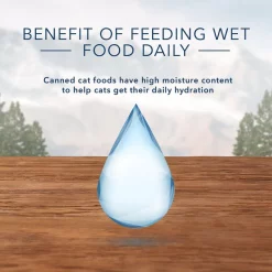 Blue Buffalo Wilderness Chicken Grain-Free Canned Cat Food -Merrick || Blue Wilderness Sales 2022 101708 PT5. SY630 V1604358108