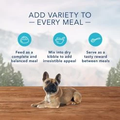 Blue Buffalo Wilderness Trail Trays Duck Grill Formula Grain-Free Dog Food Trays -Merrick || Blue Wilderness Sales 2022 114239 PT4. SY630 V1642647147