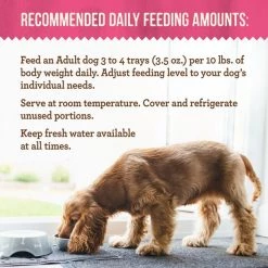 Merrick Lil' Plates Mini Medley Grain-Free Variety Pack Adult Dog Food Trays -Merrick || Blue Wilderness Sales 2022 117166 PT5. SY630 V1658217194