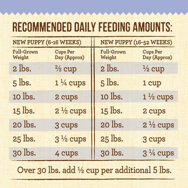 Merrick Lil' Plates Grain-Free Real Chicken & Sweet Potato Puppy Dry Dog Food 8 Merrick Lil' Plates Grain-Free Real Chicken & Sweet Potato Puppy Dry Dog Food - Image 6