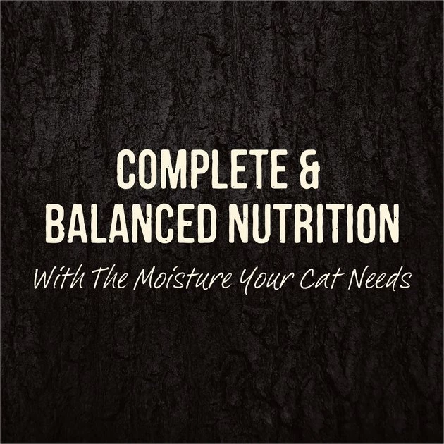 Merrick Backcountry Grain-Free Real Chicken & Trout Recipe Cuts Morsels in Gravy Cat Food Pouches 10 Merrick Backcountry Grain-Free Real Chicken & Trout Recipe Cuts Morsels in Gravy Cat Food Pouches - Image 8