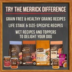 Merrick Grain-Free Grammy's Pot Pie Recipe Canned Dog Food -Merrick || Blue Wilderness Sales 2022 144742 PT7. SY630 V1643406119