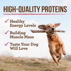 Merrick Grain-Free Wingaling Canned Dog Food -Merrick || Blue Wilderness Sales 2022 144757 PT5. SY630 V1643413936