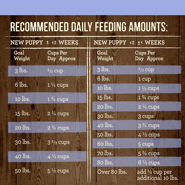 Merrick Grain-Free Real Texas Beef + Sweet Potato Puppy Food 8 Merrick Grain-Free Real Texas Beef + Sweet Potato Puppy Food - Image 6