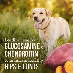 Merrick Slow-Cooked BBQ Memphis Style Glazed Chicken Recipe Grain-Free Canned Dog Food, 12.7-oz can, case of 12 15 Merrick Slow-Cooked BBQ Memphis Style Glazed Chicken Recipe Grain-Free Canned Dog Food, 12.7-oz can, case of 12 -Merrick || Blue Wilderness Sales 2022 226244 PT5. SY630 V1657656282