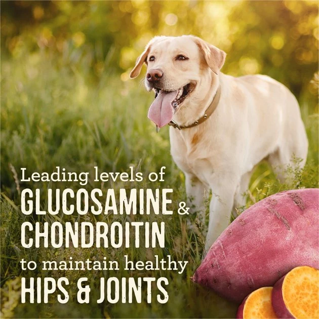 Merrick Slow-Cooked BBQ Memphis Style Glazed Chicken Recipe Grain-Free Canned Dog Food, 12.7-oz can, case of 12 8 Merrick Slow-Cooked BBQ Memphis Style Glazed Chicken Recipe Grain-Free Canned Dog Food, 12.7-oz can, case of 12 - Image 6