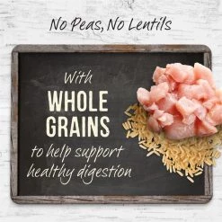 Merrick Backcountry Raw Infused Puppy Recipe + Grains with Chicken & Salmon Freeze-Dried Dry Dog Food -Merrick || Blue Wilderness Sales 2022 229213 PT3. SY630 V1643409391