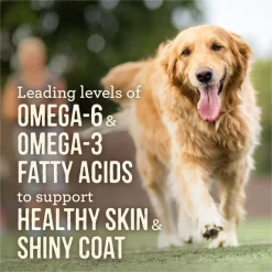 Merrick Slow Cooked BBQ Variety Pack Grain-Free Wet Dog Food, 12.7-oz, case of 12 -Merrick || Blue Wilderness Sales 2022 236265 PT6. SY630 V1657656381