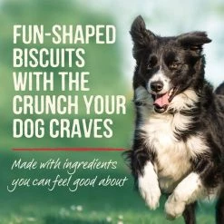 Merrick Oven Baked Cowboy Cookout w/ Real Beef & Bacon Dog Treats -Merrick || Blue Wilderness Sales 2022 237971 PT5. SY630 V1631623278