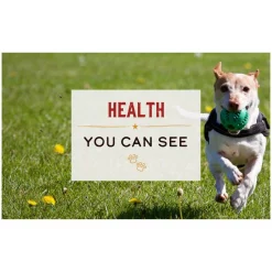 Merrick Limited Ingredient Diet Chicken & Brown Rice Recipe Wet Dog Food, 12.7-oz can, case of 12 -Merrick || Blue Wilderness Sales 2022 264808 PT6. SY630 V1632794206