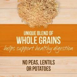 Merrick Healthy Grains Raw-Coated Kibble Real Chicken + Brown Rice Recipe Freeze-Dried Dry Dog Food -Merrick || Blue Wilderness Sales 2022 265198 PT7. SY630 V1620838637