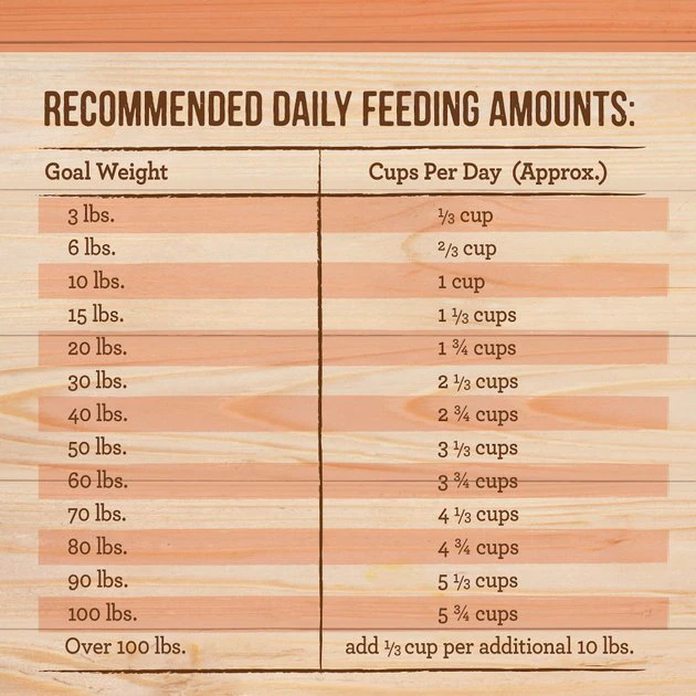 Merrick Healthy Grains Raw-Coated Kibble Real Salmon + Brown Rice Recipe Freeze-Dried Dry Dog Food 8 Merrick Healthy Grains Raw-Coated Kibble Real Salmon + Brown Rice Recipe Freeze-Dried Dry Dog Food - Image 6