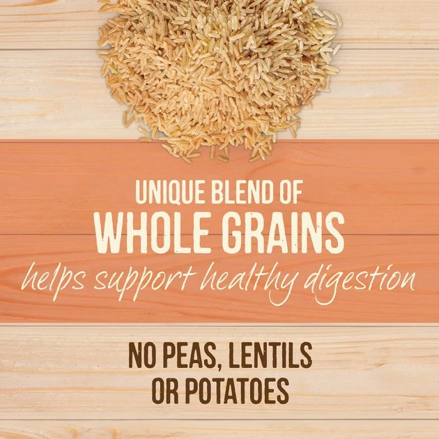 Merrick Healthy Grains Raw-Coated Kibble Real Salmon + Brown Rice Recipe Freeze-Dried Dry Dog Food 10 Merrick Healthy Grains Raw-Coated Kibble Real Salmon + Brown Rice Recipe Freeze-Dried Dry Dog Food - Image 8