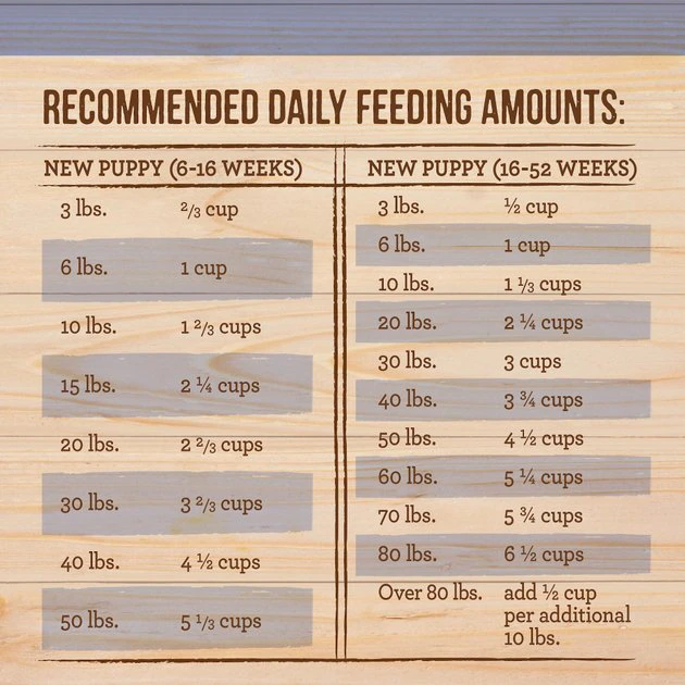 Merrick Healthy Grains Raw-Coated Kibble Puppy Recipe Freeze-Dried Dry Dog Food 8 Merrick Healthy Grains Raw-Coated Kibble Puppy Recipe Freeze-Dried Dry Dog Food - Image 6