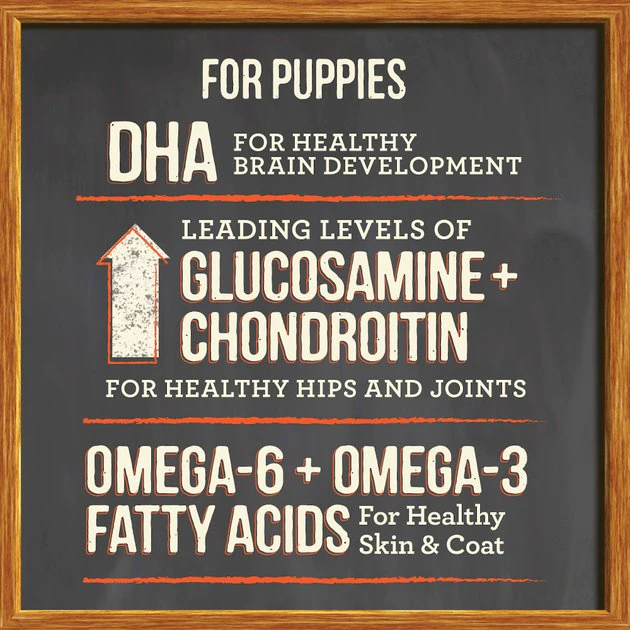 Merrick Healthy Grains Raw-Coated Kibble Puppy Recipe Freeze-Dried Dry Dog Food 9 Merrick Healthy Grains Raw-Coated Kibble Puppy Recipe Freeze-Dried Dry Dog Food - Image 7