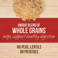 Merrick Healthy Grains Raw-Coated Kibble Real Beef + Brown Rice Recipe Freeze-Dried Dry Dog Food -Merrick || Blue Wilderness Sales 2022 265210 PT7. SY630 V1620840757