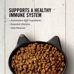 American Journey||Blue Buffalo American Journey Salmon Recipe Grain-Free Dry Food + Blue Buffalo Wilderness Salmon Recipe Grain-Free Dry Cat Food -Merrick || Blue Wilderness Sales 2022 292626 PT3. SY630 V1619977042