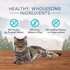 Blue Buffalo Wilderness Chicken & Turkey Grain-Free Cat Treats -Merrick || Blue Wilderness Sales 2022 294367 PT4. SY630 V1620790667