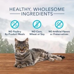Blue Buffalo Wilderness Chicken & Trout Grain-Free Cat Treats -Merrick || Blue Wilderness Sales 2022 294370 PT4. SY630 V1620789797