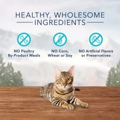 Blue Buffalo Wilderness Chicken Recipe Dry Food + Chicken Formula Crunchy Cat Treats -Merrick || Blue Wilderness Sales 2022 338655 PT8. SY630 V1635901145