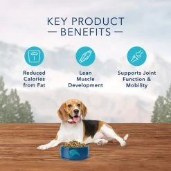 Blue Buffalo Wilderness Healthy Weight Chicken Recipe Grain-Free Dry Dog Food -Merrick || Blue Wilderness Sales 2022 50389 PT4. SY630 V1645056683