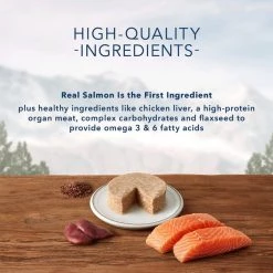 Blue Buffalo Wilderness Salmon Grain-Free Canned Cat Food -Merrick || Blue Wilderness Sales 2022 506918 PT3. SY630 V1648500412