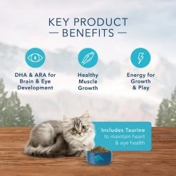 Blue Buffalo Wilderness Kitten Chicken Recipe Grain-Free Dry Cat Food -Merrick || Blue Wilderness Sales 2022 51554 PT5. SY630 V1599004556