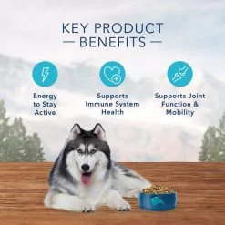 Blue Buffalo Wilderness Senior Chicken Recipe Grain-Free Dry Dog Food -Merrick || Blue Wilderness Sales 2022 51755 PT4. SY630 V1645053694