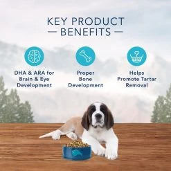 Blue Buffalo Wilderness Large Breed Puppy Chicken Recipe Grain-Free Dry Dog Food -Merrick || Blue Wilderness Sales 2022 64721 PT4. SY630 V1645053390