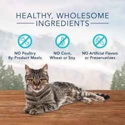 Blue Buffalo Wilderness Chicken & Duck Grain-Free Cat Treats -Merrick || Blue Wilderness Sales 2022 64723 PT4. SY630 V1605057710