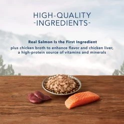 Blue Buffalo Wilderness Tasty Toppers Wild Cuts Tasty Salmon Morsels in Savory Gravy Grain-Free Cat Food Topper -Merrick || Blue Wilderness Sales 2022 84187 PT3. SY630 V1646792187