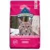 Blue Buffalo Wilderness Salmon Recipe Grain-Free Dry Cat Food -Merrick || Blue Wilderness Sales 2022 84281 MAIN. SY630 V1599021975