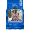 Blue Buffalo Wilderness Indoor Chicken Recipe Grain-Free Dry Cat Food -Merrick || Blue Wilderness Sales 2022 84975 MAIN. SY630 V1599001287