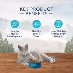 Blue Buffalo Wilderness Indoor Chicken Recipe Grain-Free Dry Cat Food 16 Blue Buffalo Wilderness Indoor Chicken Recipe Grain-Free Dry Cat Food -Merrick || Blue Wilderness Sales 2022 84975 PT7. SY630 V1599016858