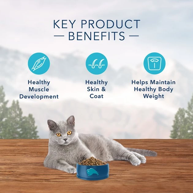 Blue Buffalo Wilderness Indoor Chicken Recipe Grain-Free Dry Cat Food 9 Blue Buffalo Wilderness Indoor Chicken Recipe Grain-Free Dry Cat Food - Image 7