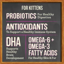 Merrick Purrfect Bistro Grain-Free Healthy Kitten Recipe Dry Cat Food -Merrick || Blue Wilderness Sales 2022 87829 PT6. SY630 V1638042111