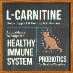 Merrick Purrfect Bistro Grain-Free Healthy Weight Recipe Dry Cat Food -Merrick || Blue Wilderness Sales 2022 87833 PT6. SY630 V1638042996