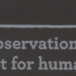 Merrick Backcountry Wild Fields Real Turkey & Sweet Potato Patties Grain-Free Dog Treats 11 Merrick Backcountry Wild Fields Real Turkey & Sweet Potato Patties Grain-Free Dog Treats -Merrick || Blue Wilderness Sales 2022 90696 PT4. SY630 V1474483210 scaled