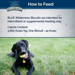 Blue Buffalo Wilderness Trail Treats Grain-Free Turkey Biscuits Dog Treats -Merrick || Blue Wilderness Sales 2022 92789 PT6. SY630 V1522171697