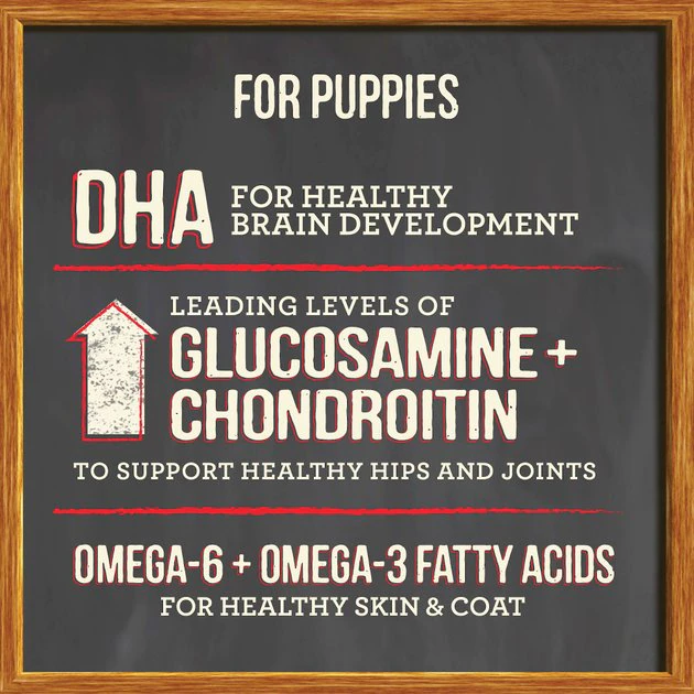 Merrick Classic Healthy Grains Puppy Recipe Dry Dog Food 8 Merrick Classic Healthy Grains Puppy Recipe Dry Dog Food - Image 6