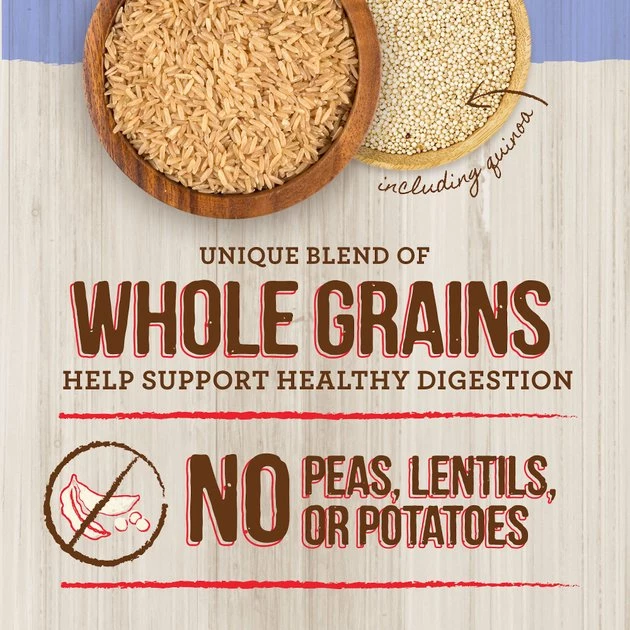 Merrick Classic Healthy Grains Puppy Recipe Dry Dog Food 11 Merrick Classic Healthy Grains Puppy Recipe Dry Dog Food - Image 9