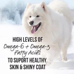 Merrick Backcountry Grain-Free Chunky Beef Dinner in Gravy Canned Dog Food -Merrick || Blue Wilderness Sales 2022 94143 PT5. SY630 V1636584138